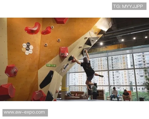 北京攀岩队心理素质排名前十的最新研究成果揭示攀岩运动新趋势