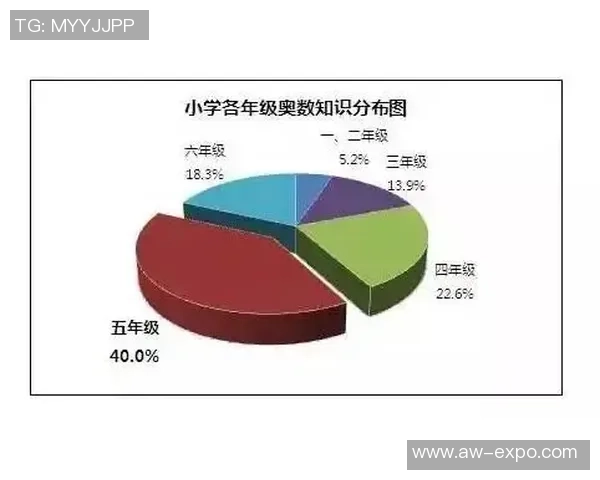 杭州排球队快攻战术解析与训练技巧深度探讨